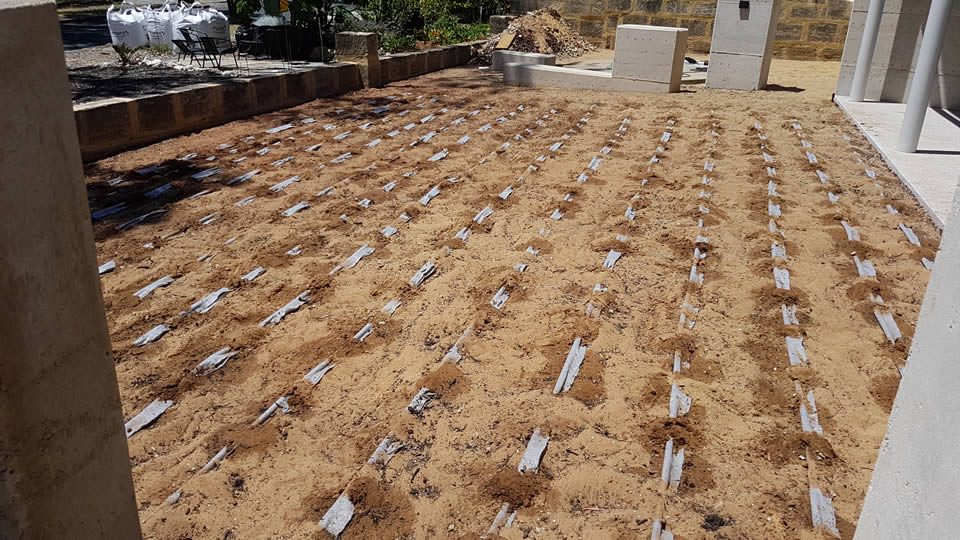 Dripline greywater irrigation wrapped in geotextile